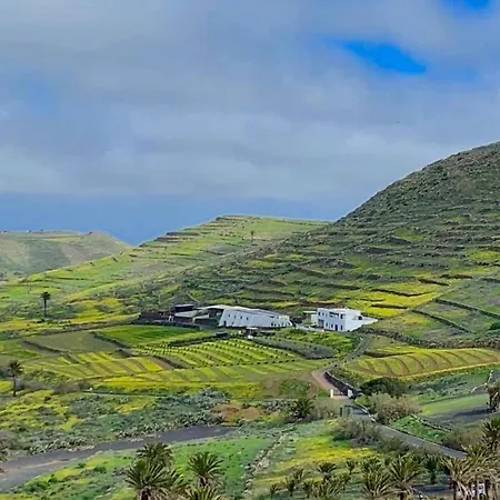El Pedregal - Olivo Appartamento