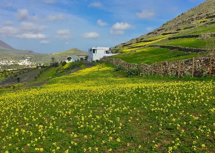 El Pedregal - Olivo Appartement *