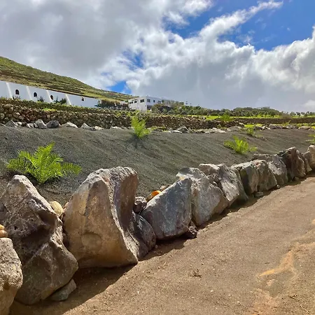 El Pedregal - Olivo Daire