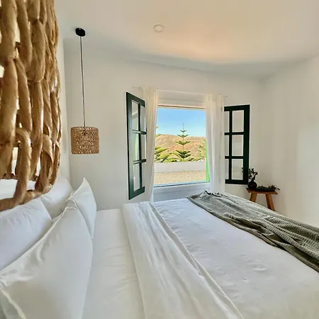 El Pedregal - Olivo
