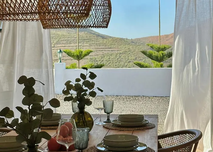 El Pedregal - Olivo Daire *