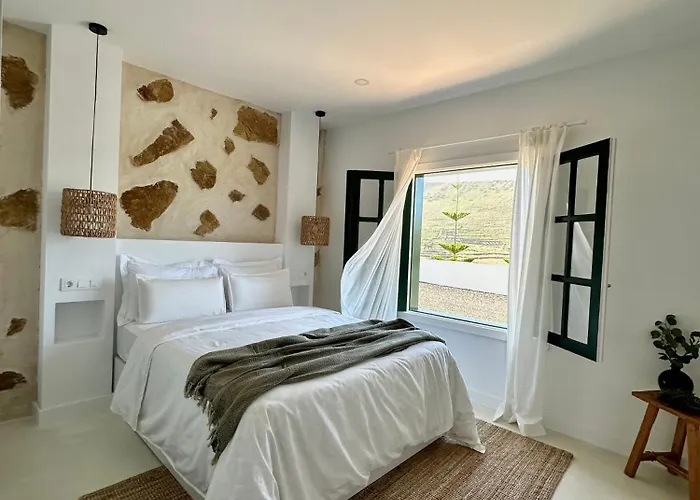 El Pedregal - Olivo Daire Haría